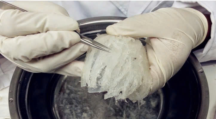 Chưng Yến Sào Đúng Cách – Bí Quyết Giữ Trọn Dinh Dưỡng